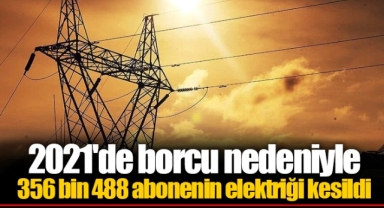 2021'de borcu nedeniyle 356 bin 488 abonenin elektriği kesildi
