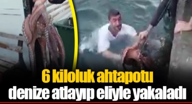 6 kiloluk ahtapotu denize atlayıp eliyle yakaladı
