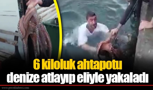 6 kiloluk ahtapotu denize atlayıp eliyle yakaladı