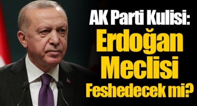 AK Parti Kulisi: Erdoğan Meclisi Feshedecek mi?