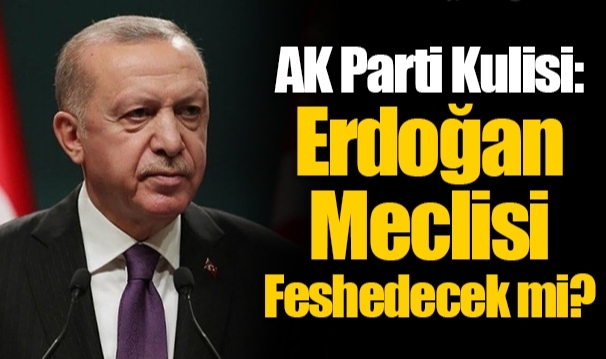 AK Parti Kulisi: Erdoğan Meclisi Feshedecek mi?