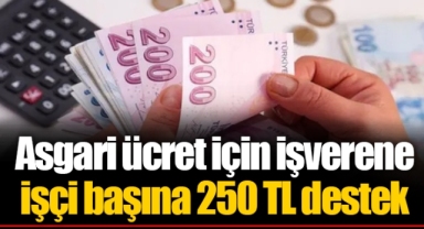 Asgari ücret için işverene işçi başına 250 TL destek