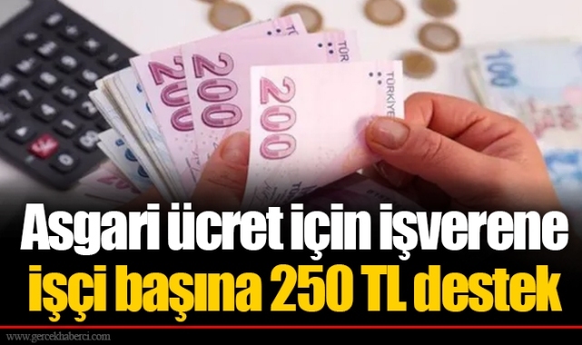 Asgari ücret için işverene işçi başına 250 TL destek
