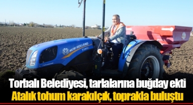 Atalık tohum karakılçık, toprakla buluştu