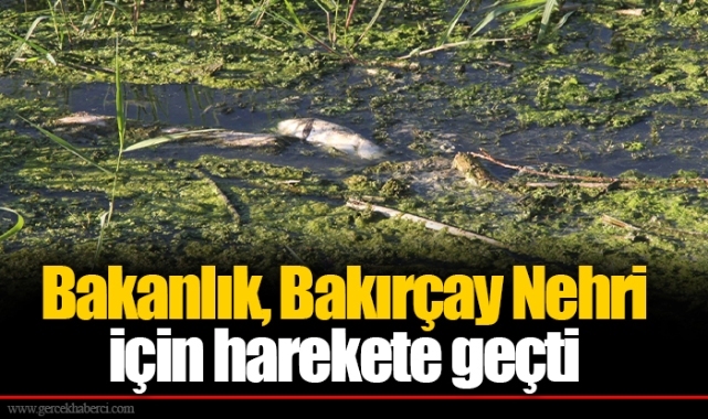 Bakanlık, Bakırçay Nehri için harekete geçti