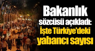 Bakanlık sözcüsü açıkladı: İşte Türkiye'deki yabancı sayısı
