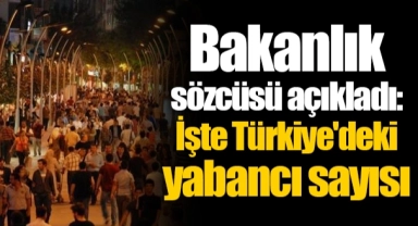Bakanlık sözcüsü açıkladı: İşte Türkiye'deki yabancı sayısı
