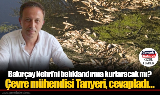 Bakırçay Nehri’ni balıklandırma kurtaracak mı? Çevre mühendisi Tanyeri, cevapladı…