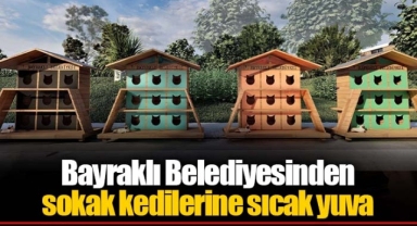 Bayraklı Belediyesinden sokak kedilerine sıcak yuva