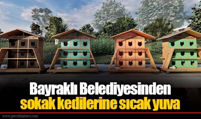 Bayraklı Belediyesinden sokak kedilerine sıcak yuva