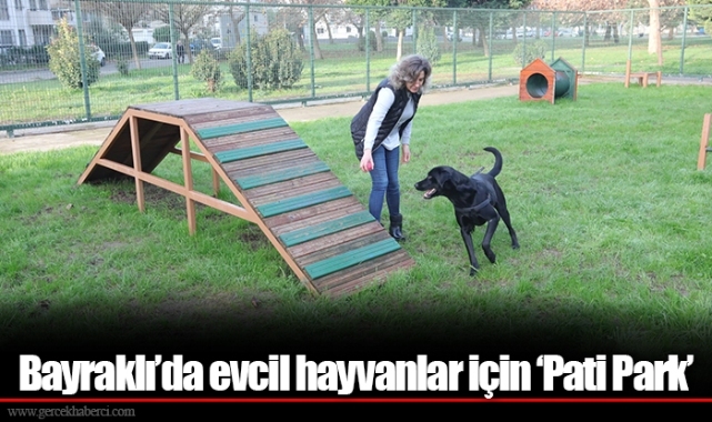 Bayraklı’da evcil hayvanlar için ‘Pati Park’