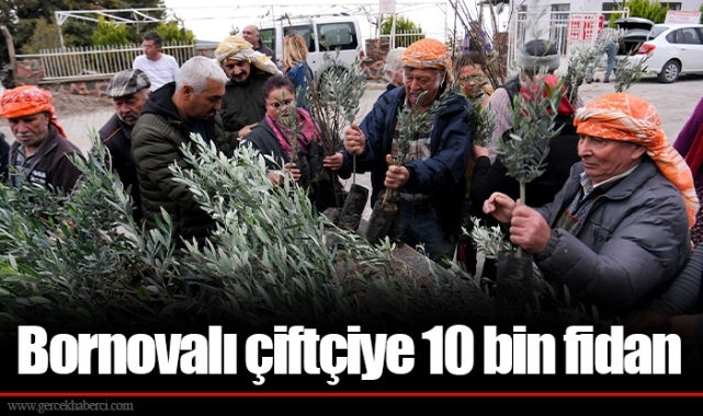 Bornovalı çiftçiye 10 bin fidan