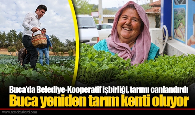 Buca yeniden tarım kenti oluyor