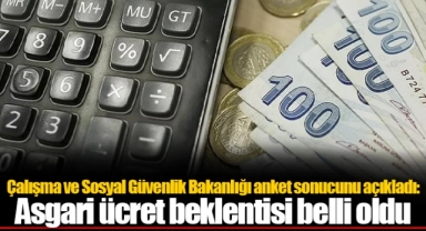 Çalışma ve Sosyal Güvenlik Bakanlığı anket sonucunu açıkladı: Asgari ücret beklentisi belli oldu