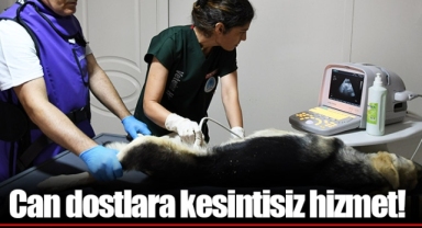 Can dostlara kesintisiz hizmet!