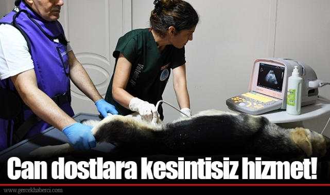 Can dostlara kesintisiz hizmet!