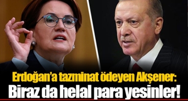 Erdoğan’a tazminat ödeyen Akşener: Biraz da helal para yesinler!