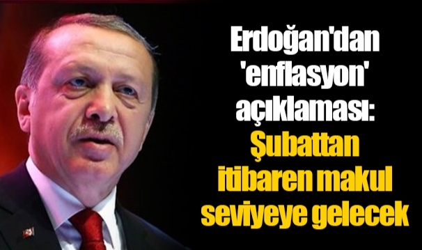 Erdoğan'dan 'enflasyon' açıklaması: Şubattan itibaren makul seviyeye gelecek