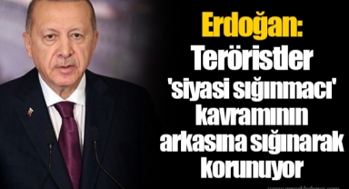 Erdoğan: Teröristler 'siyasi sığınmacı' kavramının arkasına sığınarak korunuyor