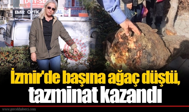 İzmir'de başına ağaç düştü, tazminat kazandı