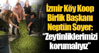 İzmir Köy Koop Birlik Başkanı Neptün Soyer: “Zeytinliklerimizi korumalıyız”