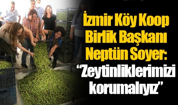 İzmir Köy Koop Birlik Başkanı Neptün Soyer: “Zeytinliklerimizi korumalıyız”