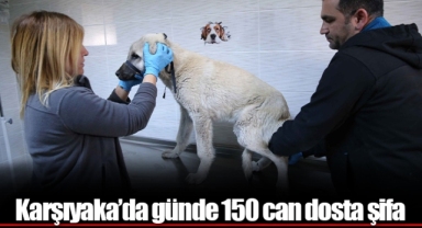 Karşıyaka’da günde 150 can dosta şifa