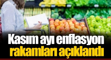 Kasım ayı enflasyon rakamları açıklandı