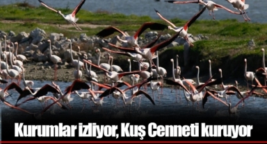 Kurumlar izliyor, Kuş Cenneti kuruyor