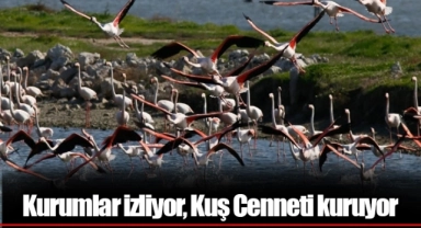 Kurumlar izliyor, Kuş Cenneti kuruyor