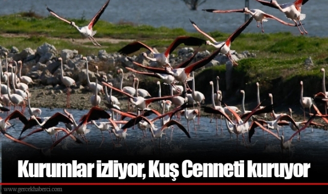 Kurumlar izliyor, Kuş Cenneti kuruyor
