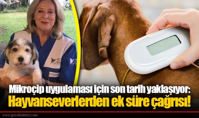 Mikroçip uygulaması için son tarih yaklaşıyor: Hayvanseverlerden ek süre çağrısı!
