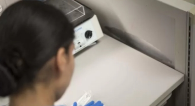 Strep A enfeksiyonu nedir, Türkiye hastalığa hazır mı?