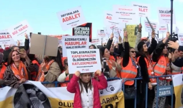 Yenikapı'da "Büyük Hayvan Hakları Mitingi" düzenlendi: Toplayamazsınız, katledemezsiniz