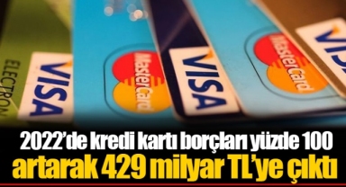 2022’de kredi kartı borçları yüzde 100 artarak 429 milyar TL’ye çıktı