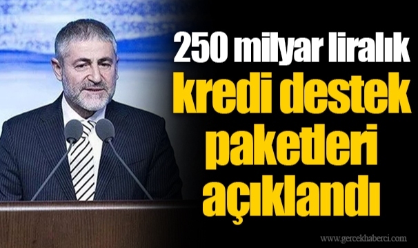 250 milyar liralık kredi destek paketleri açıklandı