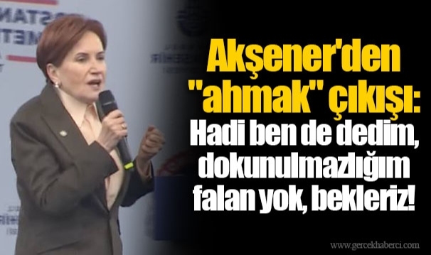 Akşener'den "ahmak" çıkışı: Hadi ben de dedim, dokunulmazlığım falan yok, bekleriz!