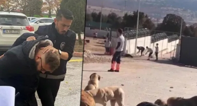 Barınakta köpeği eziyet ederek öldüren 2 sanık tahliye edildi