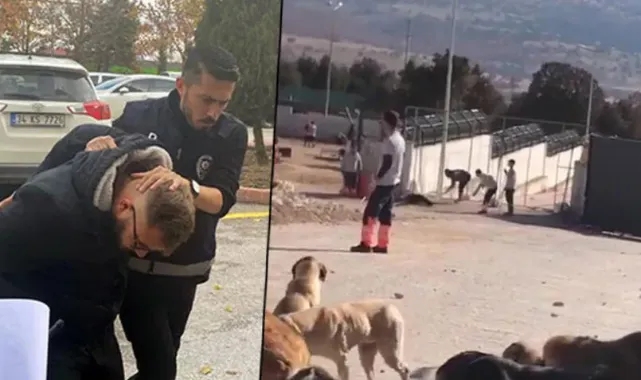 Barınakta köpeği eziyet ederek öldüren 2 sanık tahliye edildi