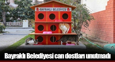 Bayraklı Belediyesi can dostları unutmadı