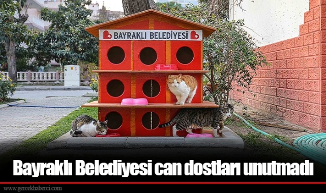 Bayraklı Belediyesi can dostları unutmadı