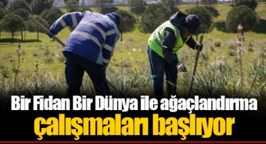 Bir Fidan Bir Dünya ile ağaçlandırma çalışmaları başlıyor