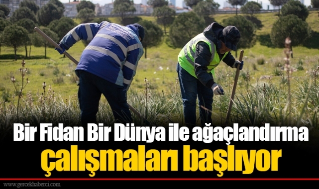 Bir Fidan Bir Dünya ile ağaçlandırma çalışmaları başlıyor