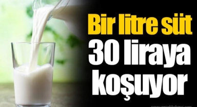 Bir litre süt 30 liraya koşuyor