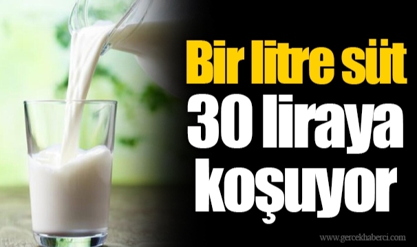 Bir litre süt 30 liraya koşuyor