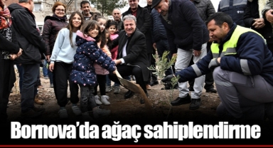 Bornova’da ağaç sahiplendirme