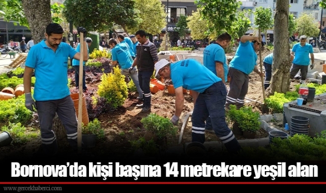 Bornova’da kişi başına 14 metrekare yeşil alan