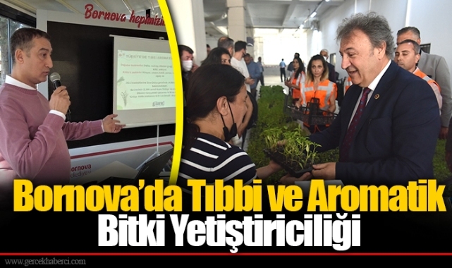 Bornova’da Tıbbi ve Aromatik Bitki Yetiştiriciliği