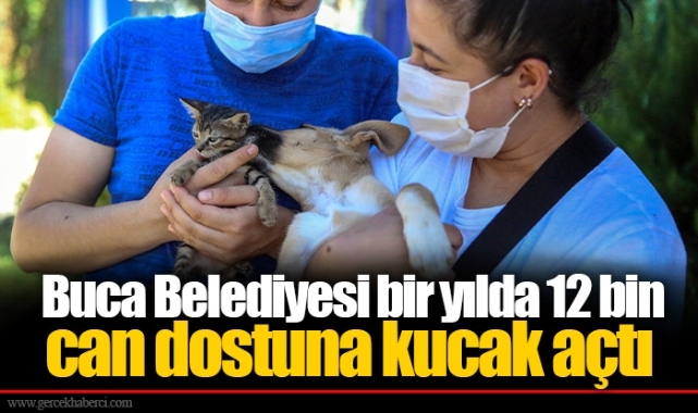 Buca Belediyesi bir yılda 12 bin can dostuna kucak açtı