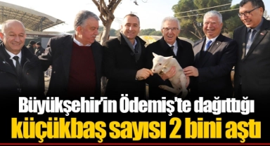 Büyükşehir’in Ödemiş’te dağıttığı küçükbaş sayısı 2 bini aştı